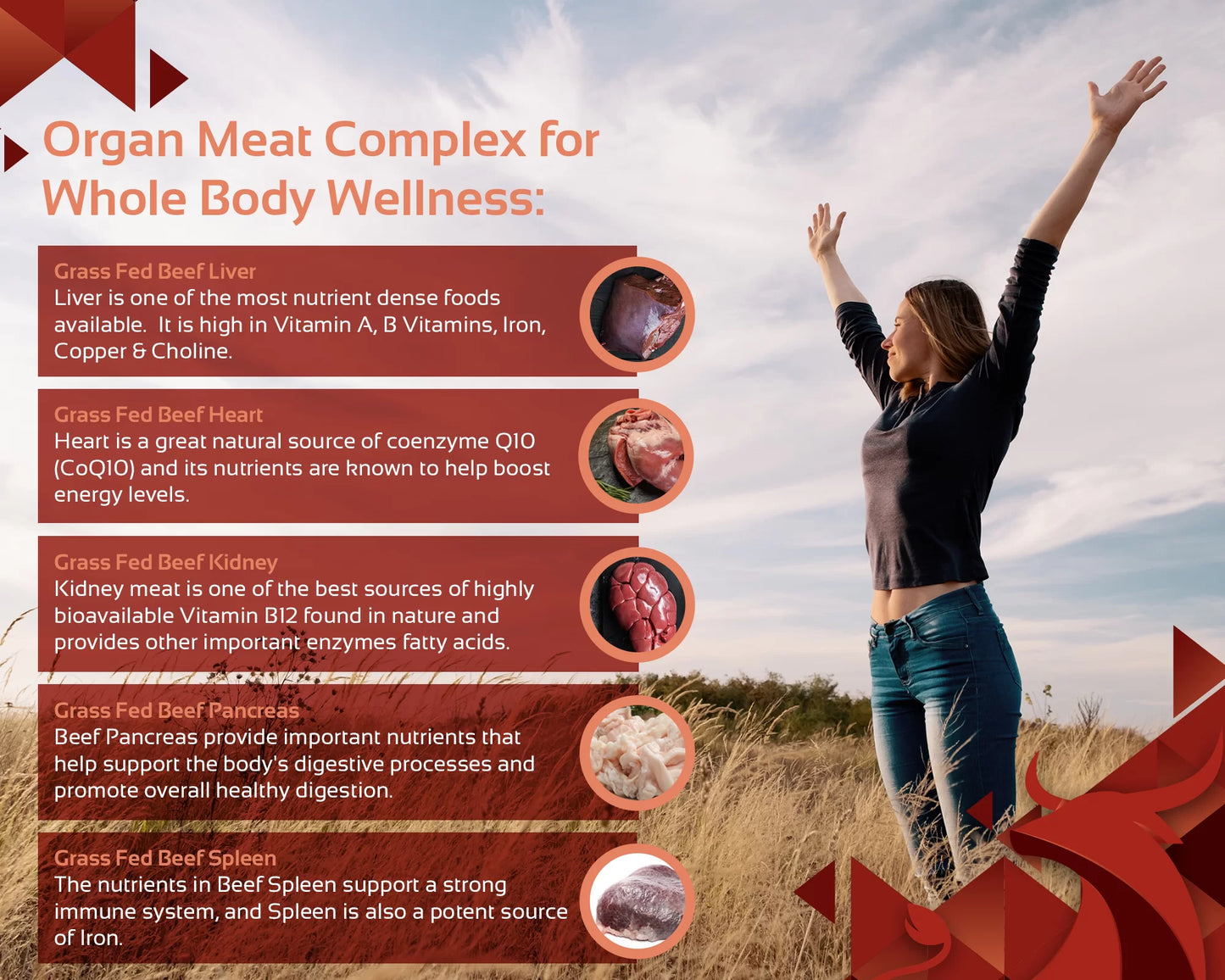 Grass Fed Beef Organ Complex, Liver, Heart, Kidney, Pancreas & Spleen Organ Meat Supplement, 3000mg, 30 servings