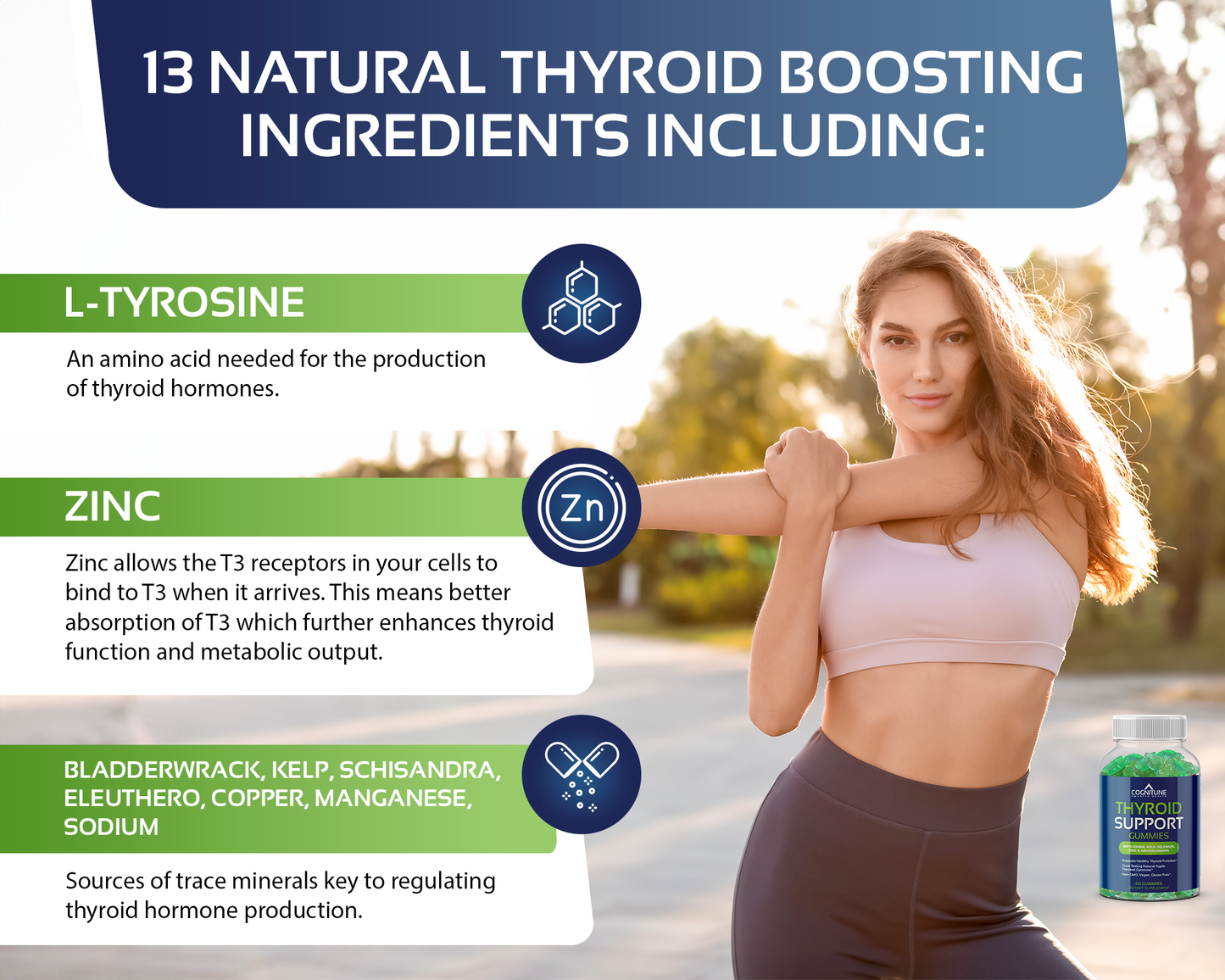 Thyroid Support Gummies - Natural Apple Flavor, Non-GMO, Vegan, Gluten-Free, 60 Count