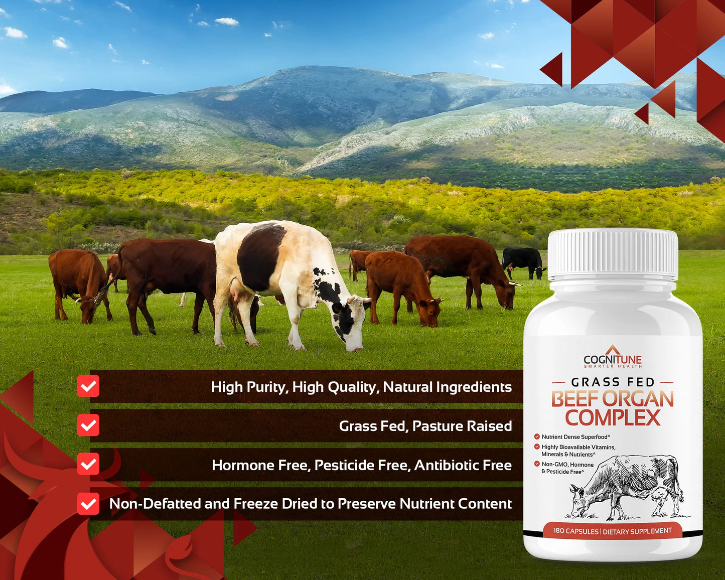 Grass Fed Beef Organ Complex, Liver, Heart, Kidney, Pancreas & Spleen Organ Meat Supplement, 3000mg, 30 servings