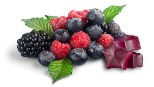 Antioxidants Aren’t Just a Trend: They’re Your Cell’s Defense System