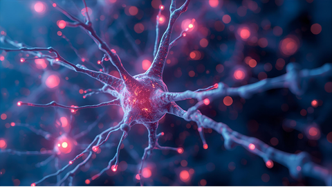 How to Reset Your Focus in 7 Days: The Science of Neuroplasticity and Mental Clarity