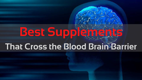 Best Supplements that Cross the Blood Brain Barrier