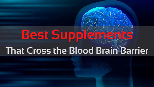 Best Supplements that Cross the Blood Brain Barrier