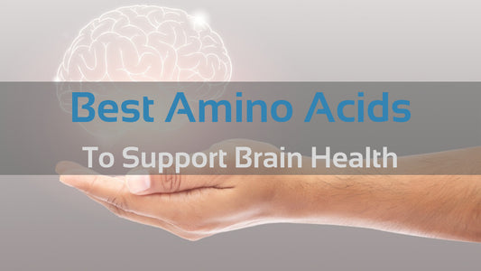 Best Amino Acids for your Brain