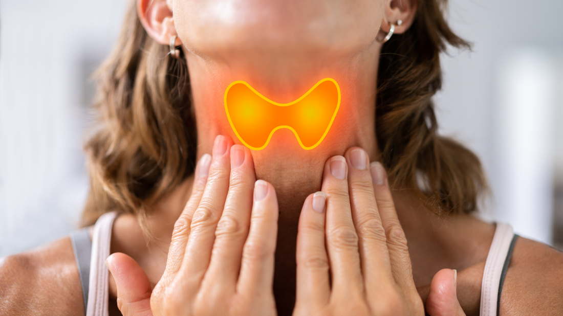 Thyroid Sluggishness: The Hidden Hormonal Culprit Behind Fatigue & Weight Gain