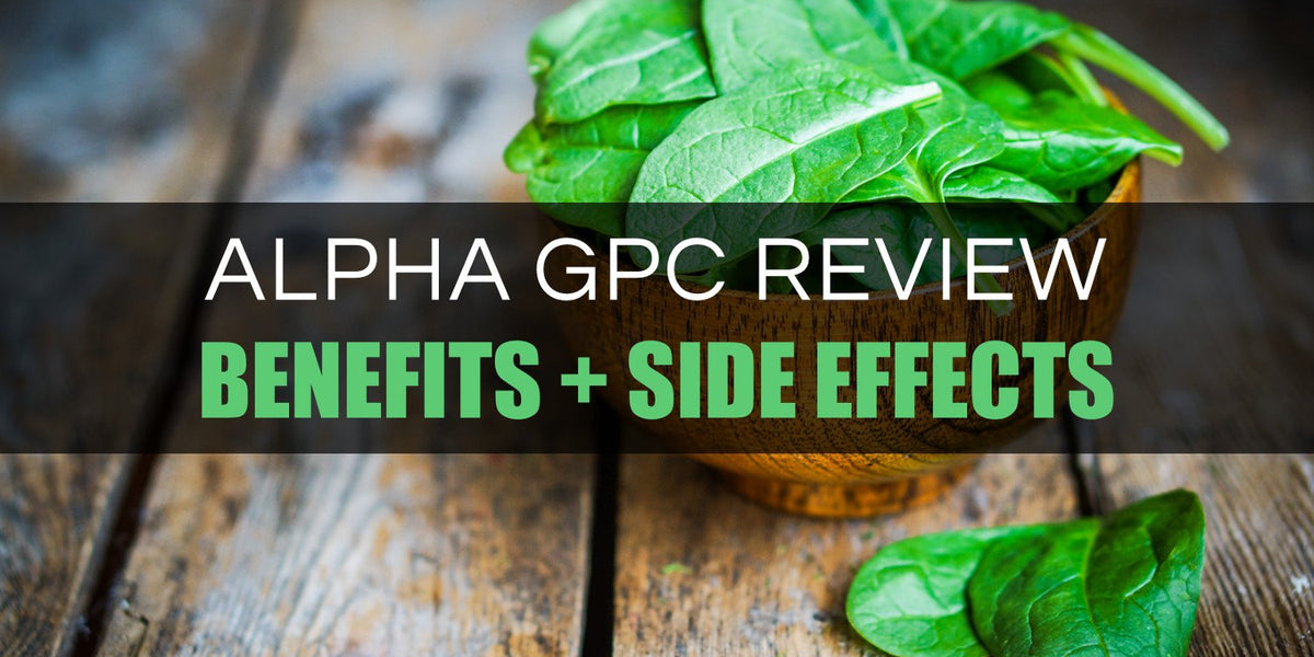 Comprehensive Alpha GPC Dosage Guide Benefits and Side Effects CogniTune