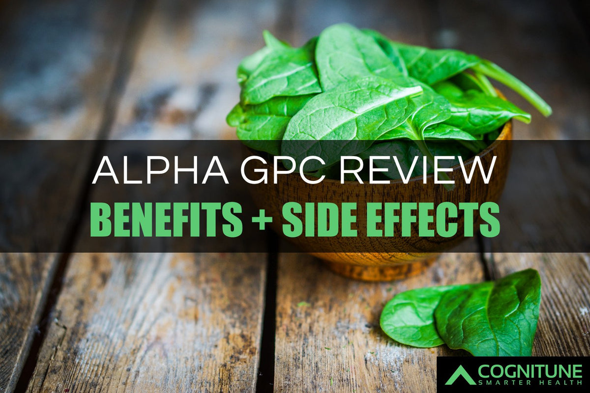 Comprehensive Alpha GPC Dosage Guide Benefits and Side Effects CogniTune