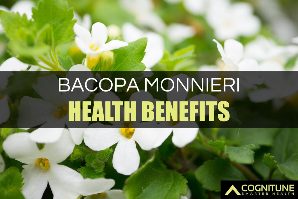 10 Health Benefits of Bacopa Monnieri Extract Supplements