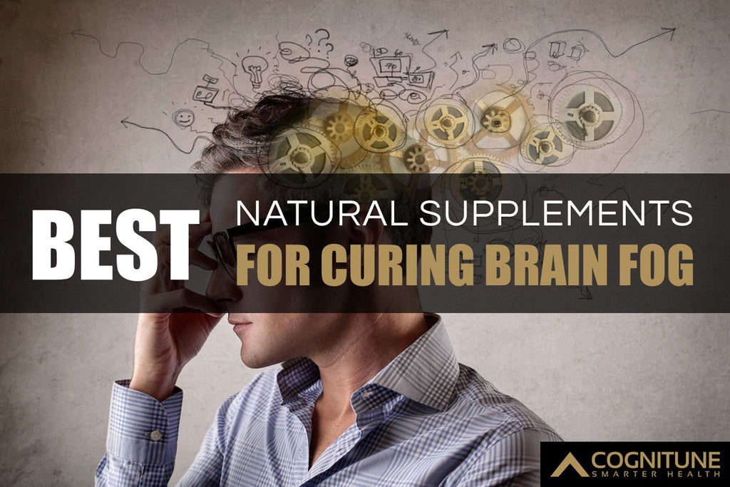 10 Best Natural Supplements for Curing Brain Fog and Mental Fatigue