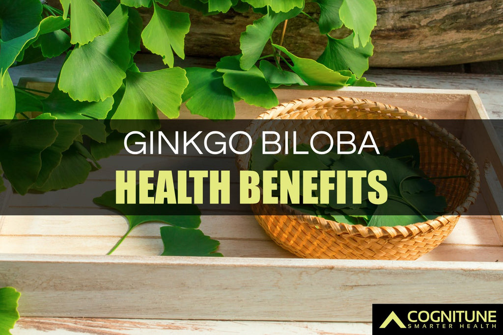 12 Health Benefits and Uses for Ginkgo Biloba Supplements