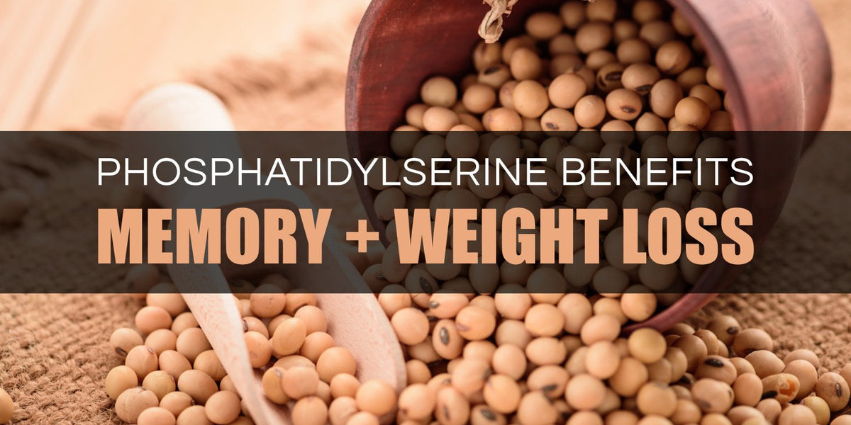 Does Phosphatidylserine Help With Weight Loss