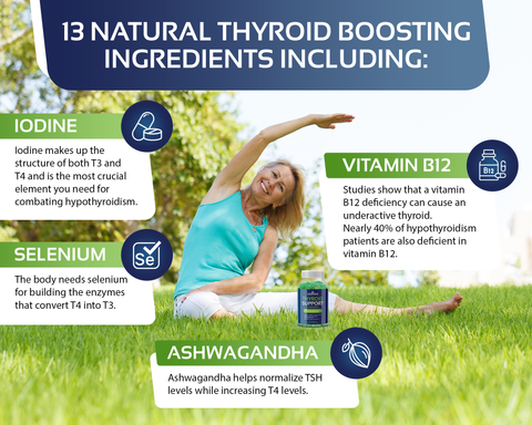 Thyroid Support Gummies - Natural Apple Flavor, Non-GMO, Vegan, Gluten-Free, 60 Count