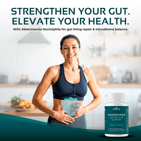 Akkermansia Probiotic & Prebiotic Gut Health Supplement