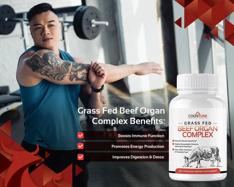 Grass Fed Beef Organ Supplement — Liver, Heart, Kidney & More, 3000mg, 30 Servings