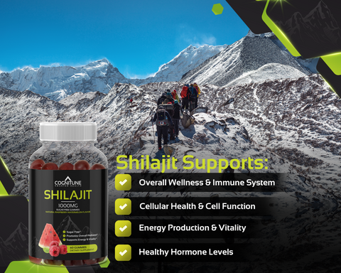Shilajit Charge Gummies | Ancient Power