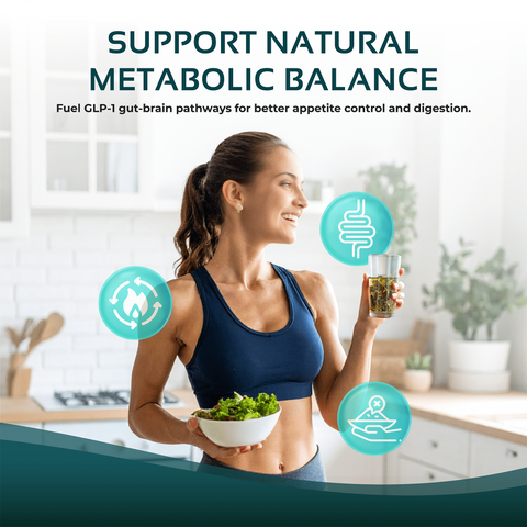 Akkermansia Probiotic & Prebiotic Gut Health Supplement