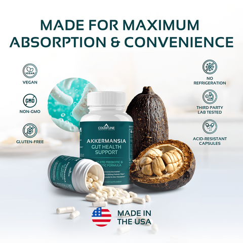 Akkermansia Probiotic & Prebiotic Gut Health Supplement