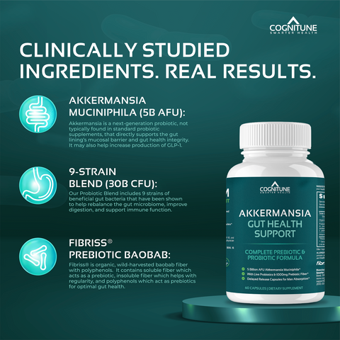 Akkermansia Probiotic & Prebiotic Gut Health Supplement
