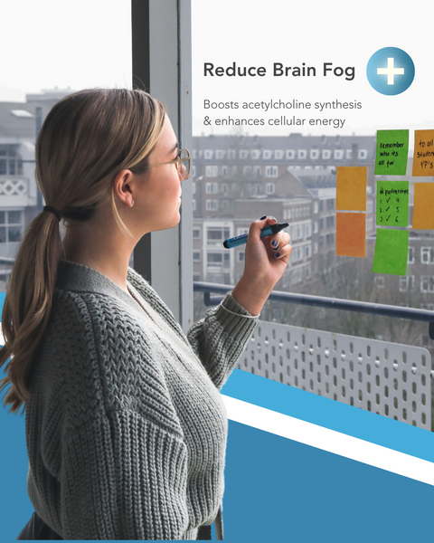 NuClarity Nootropic Brain Supplement - Enhance Mental Clarity, Memory, Focus, 60 Capsules