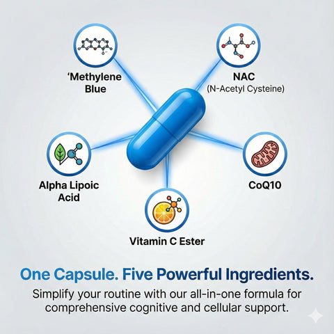 Methylene Blue Capsules — 5-in-1 Nootropic with NAC, CoQ10 & Alpha Lipoic Acid, 60 Capsules