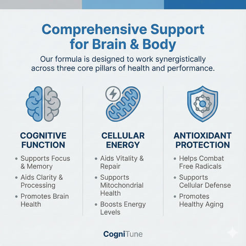 Methylene Blue Capsules — 5-in-1 Nootropic with NAC, CoQ10 & Alpha Lipoic Acid, 60 Capsules