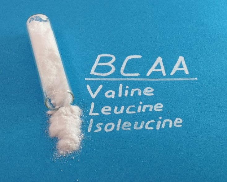 Branched Chain Amino Acids (BCAAs)