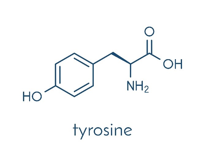 Phenylalanine and Tyrosine