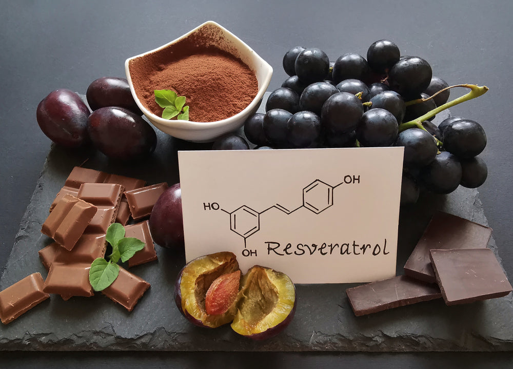 Resveratrol-chemical-compound-with-grape-bunch-dark-chocolate-and-other-foods-containing-resveratrol